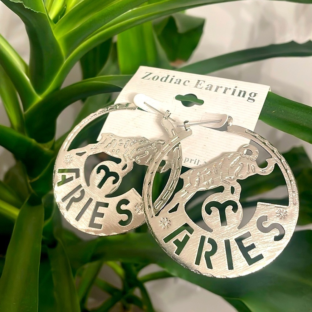 Unbranded Silver Tone Aries Zodiac Earrings Women, Round Carved fashion jewelry